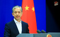 外交部：中方绝不允许中国公民成为别国政治迫害的牺牲品