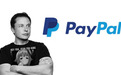 国内市场捧得红马斯克，但可能捧不红PayPal