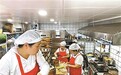 一个蒸饺店，“救了”十一个妈妈