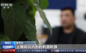 招揽10万人次、赌资16亿！警方侦破“水晶虎宫殿”跨境赌博案