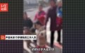 江西夫妇意外去世留下8个孩子后：好心人登门领养 大批网红蹭流量直播
