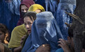 阿富汗女性的绝望：罩袍着装令、歧视离异女性与绝境下的抵抗