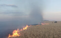已蔓延至中国的蒙古国草原大火，为什么现在发生？灭火难点是什么？