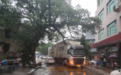 300岁榕树被货车撞伤 村委会获赔14万余元