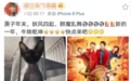 比张碧晨生子更惊掉下巴的事多着呢…