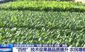 内蒙古巴彦淖尔实施农业“四控”技术 助力农业增效、农民增收