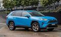 稍息立正站好，2020款丰田RAV4全军出击