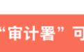 多视角看审计法修改，听听专家怎么说