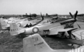 1950年保卫上海！苏联航空团7战7捷，击落国军“闪电”和“野马”