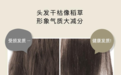 轻松告别干枯受损炸毛头 薄荷泡泡护理已上线