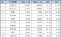 将上市纯电MPV展望，加价买赛那还是再等等？