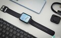 UDDE解决长续航智能问题 OPPO Watch 2评测
