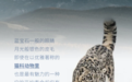 深入雪豹栖息地，三草两木招募志愿者共同守护地球好气色