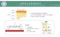 中科大专利技术透皮短肽—诗妳尔美白祛斑黄金组合