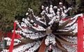 兰州烈士陵园里有个特殊花圈 是用新疆棉花做的