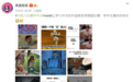 10万外国人吐槽中文难，网友：哈哈哈感受我们学英语的痛吧