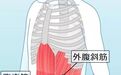 练瑜伽，肚子两侧赘肉怎么减？9个动作瘦侧腰，帮你打造小蛮腰