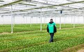 350个直供基地，叮咚买菜的生鲜版图