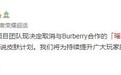 王者荣耀：项目团队决定取消与Burberry合作皮肤计划