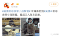 都有实锤了，他们还不承认吗？