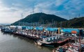 格力地产洪湾中心渔港：备战迎“鲜” 筑好安全防线