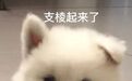 网红第一学霸女神，也不过如此…