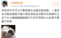 求求奶茶店救救直男吧