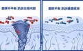 肌肤内外修护，DR RENAUD雷诺博士微生态护肤之道