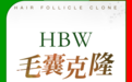HBW毛囊克隆技术破冰，中早期脱发者的喜讯！