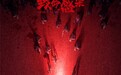 神秘虫兽世界电影《致命感染》杀青，曾志伟化身白衣教授鼎力出演