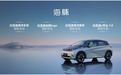 全系搭载刀片电池 海豚正式发布 比亚迪布局小型电动车市场