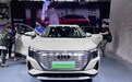 2021广州车展丨上汽奥迪首款纯电动车奥迪Q5 e-tron开启预订