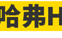 红旗H9、哈弗H9......这11款车名竟然一样