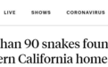 毛骨悚然！美加州一民宅地下先后惊现90多条蛇