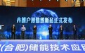 储智赋能 碳索未来：2021年中国（合肥）储能技术应用发展创新论坛隆重举行