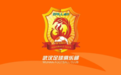 媒体人谈武汉队更名：武汉二字在人们心中已是特有符号