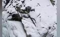 “冰川哥” 跌落冰瀑第14天！40多人专业搜救队前往搜救