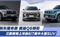 换车潮来袭 奥迪Q6领衔即将上市的6/7座中大型SUV