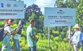 迎接国际生物多样性日，植物医生为生命构建共同未来