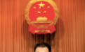 “85后”宁文鑫，递补为省委委员