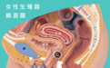女生的高潮点究竟在哪？原来不止G点能让人快活