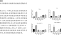 雷允上集团六神丸获在制备防治病毒性疾病的药物中的应用发明专利授权