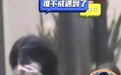 王菲与友人现身街头 头发凌乱捂脸疑痛哭