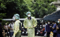 台湾新增本土新冠确诊病例63964例 新增新冠死亡40例