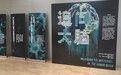 天桥脑科学研究院联合举办的“追问大脑”科普特展在沪揭幕｜钛快讯