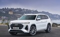 奥迪全尺寸SUV Q9曝光，造型神似大号Q5，能否抗衡X7、GLS？