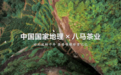 花絮抢先看！携手中国国家地理 这家茶企深入原产地“香遇一杯好茶”