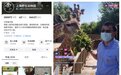 动物园开直播出圈， 网友打赏助园区找到自救之路