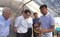 王吉宝：发挥桑黄产业优势，让科技成为乡村振兴的关键“基因”