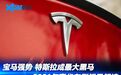 特斯拉成大黑马！2021豪华车型销量解读